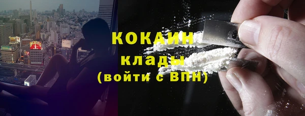 2c-b Бородино