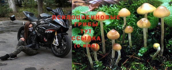 таблы Бронницы