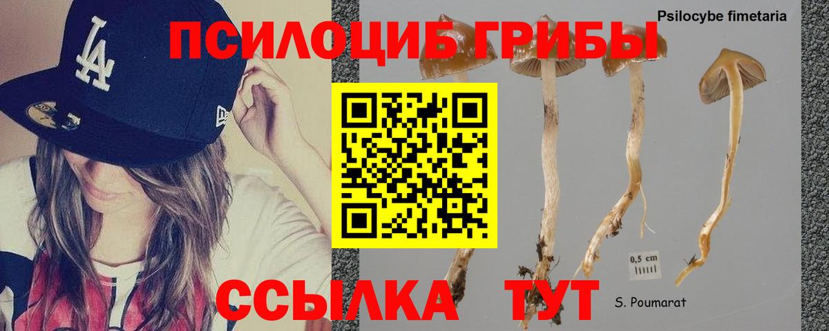Псилоцибиновые грибы Magic Shrooms  Вход с VPN  Псилоцибиновые грибы мухоморы  Валуйки 